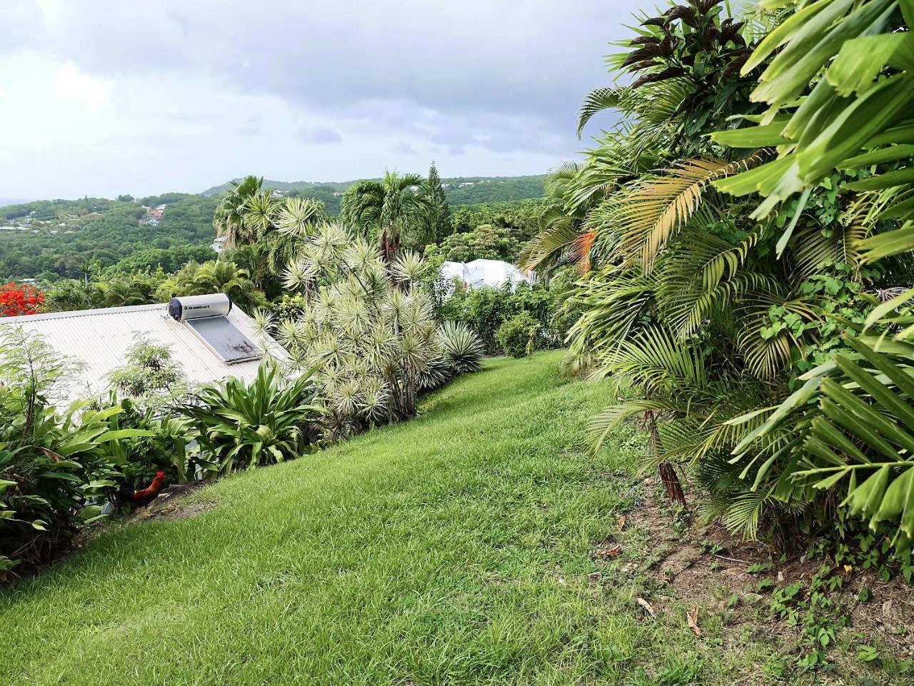 Karureve Villa Deshaies Exterior foto